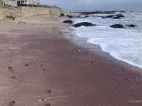 Sea Salt Air Changes Everything - ⭐️Stroll to Private Association Beach⭐️ Hotéis em Westbrook