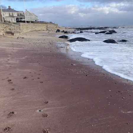 Sea Salt Air Changes Everything - ⭐️Stroll to Private Association Beach⭐️