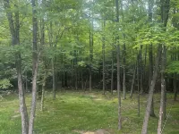 Beautiful Home in the Woods Ξενοδοχεία στην πόλη Lenroot