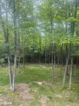 Beautiful Home in the Woods