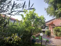 Acqua Chiara Elegant Villa with Garden with Etna View a Stone's Throw from the Sea -  Holiday Villas