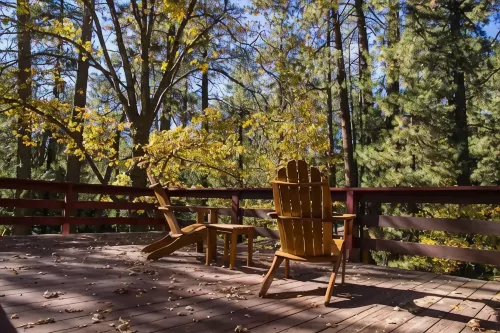 Ahwahnee-be Vintage Cabin - Three blocks to town!