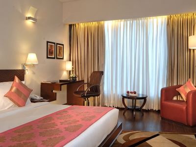 Hotel Sewa Grand Faridabad
