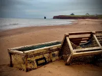 Country cottage, exceptional view, lake, dunes and sea. 5 minutes from the beach - Boutique