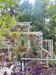 Secluded mystical cabin in Idyllwild-Pine Cove - Chalets