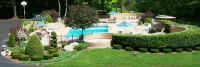 Tall Pines Motel - Mountain view