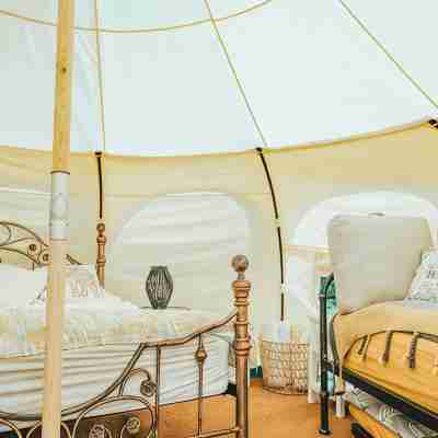 Luxury Tent-Peaceful Meadow-Firepit-Superb Views.Dogs WiFi-Beaches 10 Mins Sauna Rooms