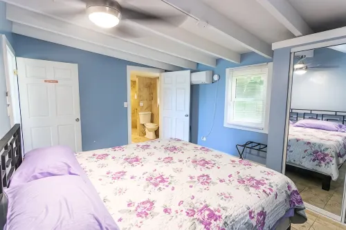 Oceanview PRIVATE Cottage Steps to Cane Bay Beach-Starfish at the Landing - 2 estrellas