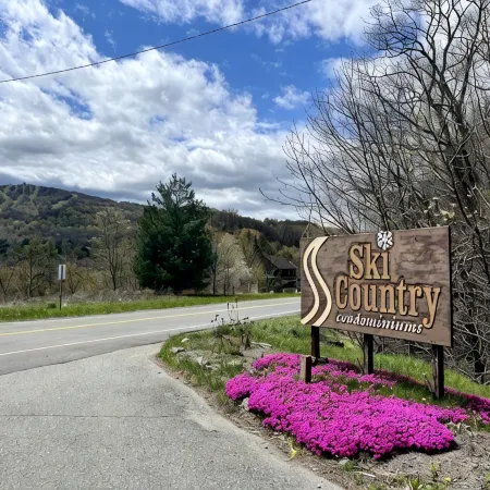 Dog-Friendly Banner Elk Condo w/ Slope View and Deck