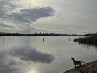 Strand, zee, duinen en bollenvelden. Een unieke plek om te genieten. Hotels in Noordwijkerhout