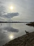 Strand, zee, duinen en bollenvelden. Een unieke plek om te genieten. - Homestays