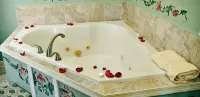 Elk Forge Bed and Breakfast - Badekar