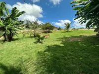 Cozy Hill Gardens - Homestays