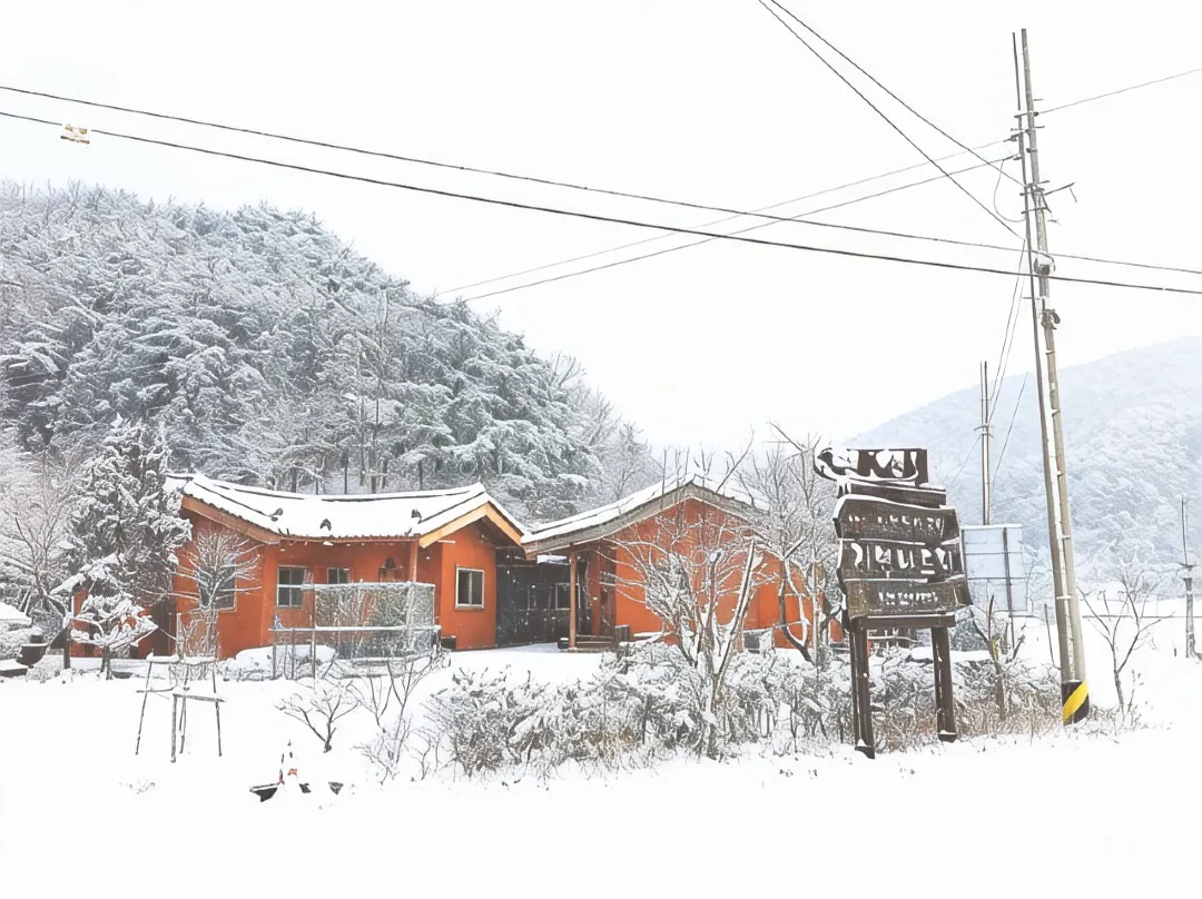 Damyang Natural Nadeuri Pension - 光州