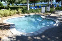 Brand New Listing!  Beautiful - Upscale newly remodeled Modern Tropical Oasis! - Badekar