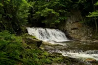Beautiful Cedar Chalet Overlooking Jay Branch - Chalets