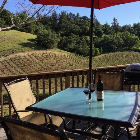 ✨Rustic Cabin in Dry Creek Valley with beautiful views // 5 miles to Plaza ✨