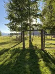 Alpaca My Bags & Alpaca Experience! - 4-Star