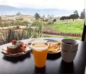 阿爾託薩諾小屋 - Villa