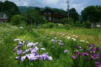 Country Inn Kashiwabara - Hotel/Alloggi familiari