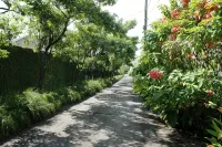 The Gardens - Parkplatz
