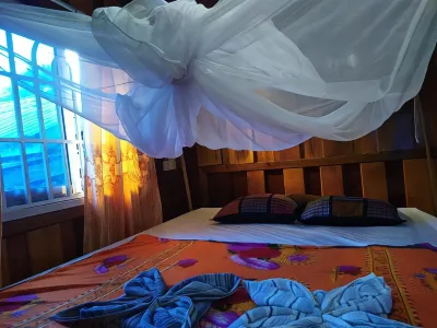 The Sleeping Buffalo