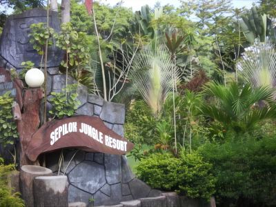 共有エリア セピロック ジャングル リゾートの写真