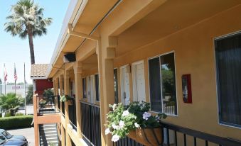 Econo Lodge Inn & Suites Lodi - Wine Country Area