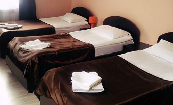 Bazilik Chaplyigin Mini-Hotel
