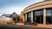 Da Vinci's Hotel Hotels near Londonderry