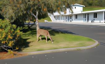 Winchester Bay Inn