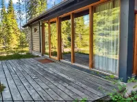 Sinikuono