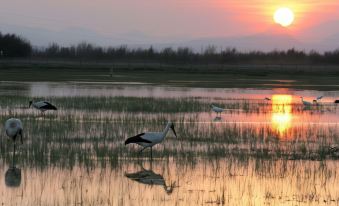 Somnis de l´Emporda