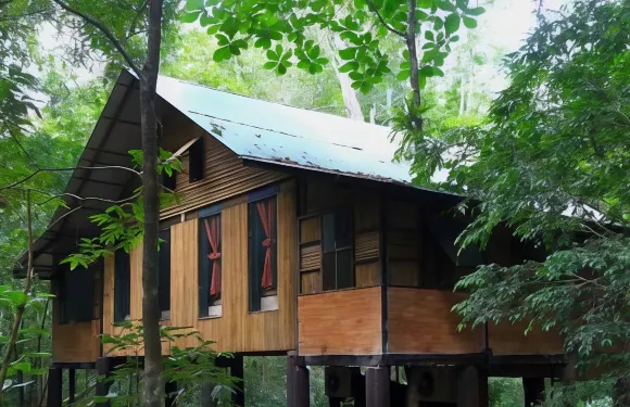 考索樹屋度假村