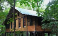 Khao Sok Tree House Resort