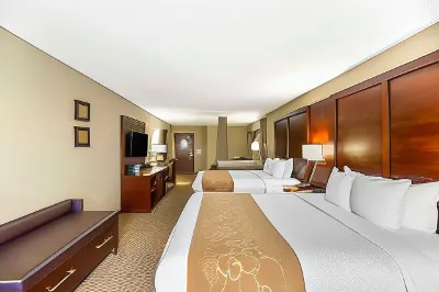 Comfort Suites Carlsbad