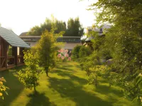 Almaz Mini-Hotel Hotels in Rubtsovsk