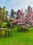 Landhotel Waldhaus Hotels in Schotten