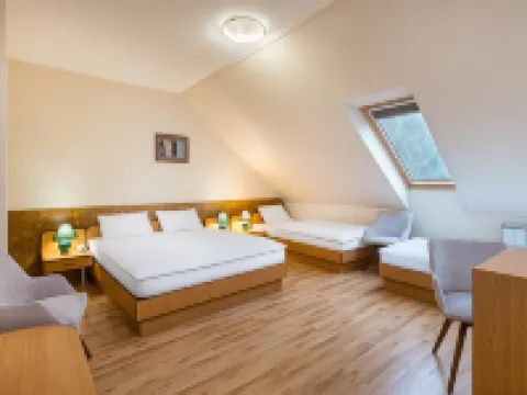 Platan Hotel Hotels in Debrecen