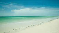Charming Siesta Key Village Vacation Condo - Unbeatable Location, Free WiFi