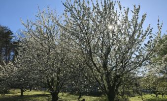 Les Gites de Pétrocoriis