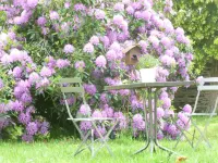 Château Bily B&B Hôtel Hotels in La Chèze