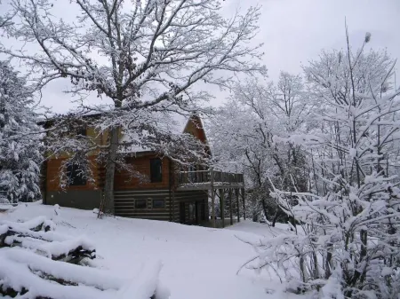 Rustic Log Cabin Nestled Privately in the Woods Отели в г. Мейкон
