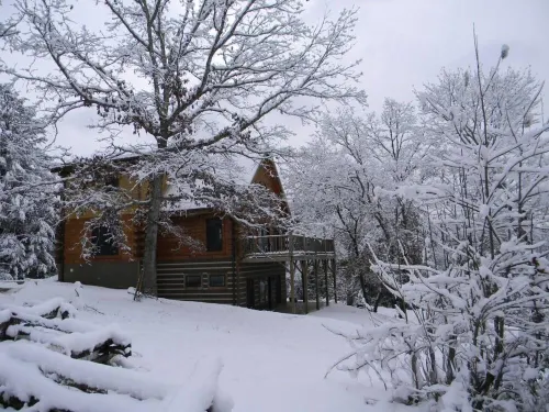 Rustic Log Cabin Nestled Privately in the Woods Hotels in Otto