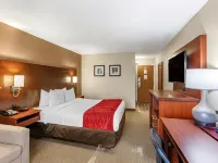 Comfort Inn Airport West Hotels near Dixie