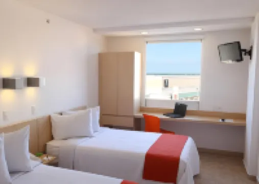 ワン コアツァコアルコス フォーラム