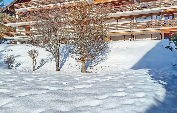 Crans-Colline 17