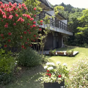 Mashio Hotel & Resort
