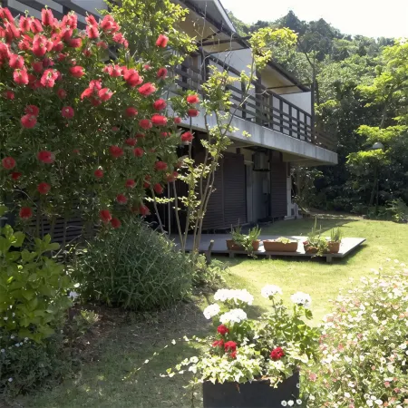 Mashio Hotel & Resort