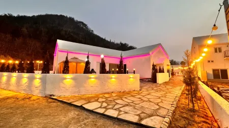 Wanju Fiesta 44 Pension